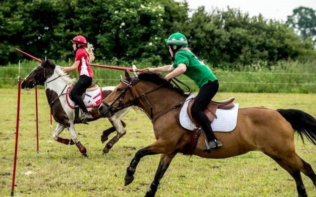 Hollandsk Sportspony Jasmijn billede 7