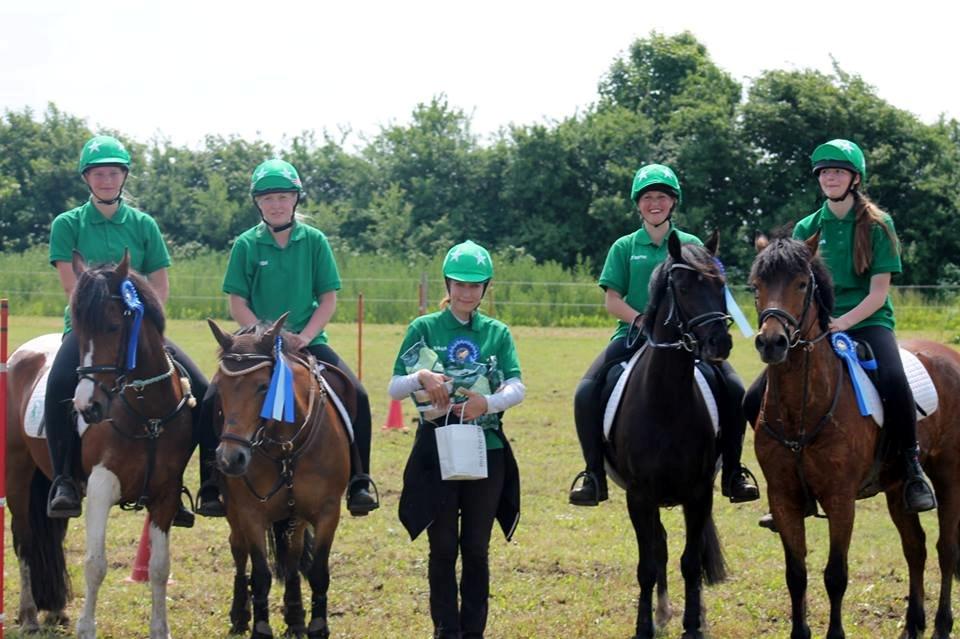 Hollandsk Sportspony Jasmijn billede 36