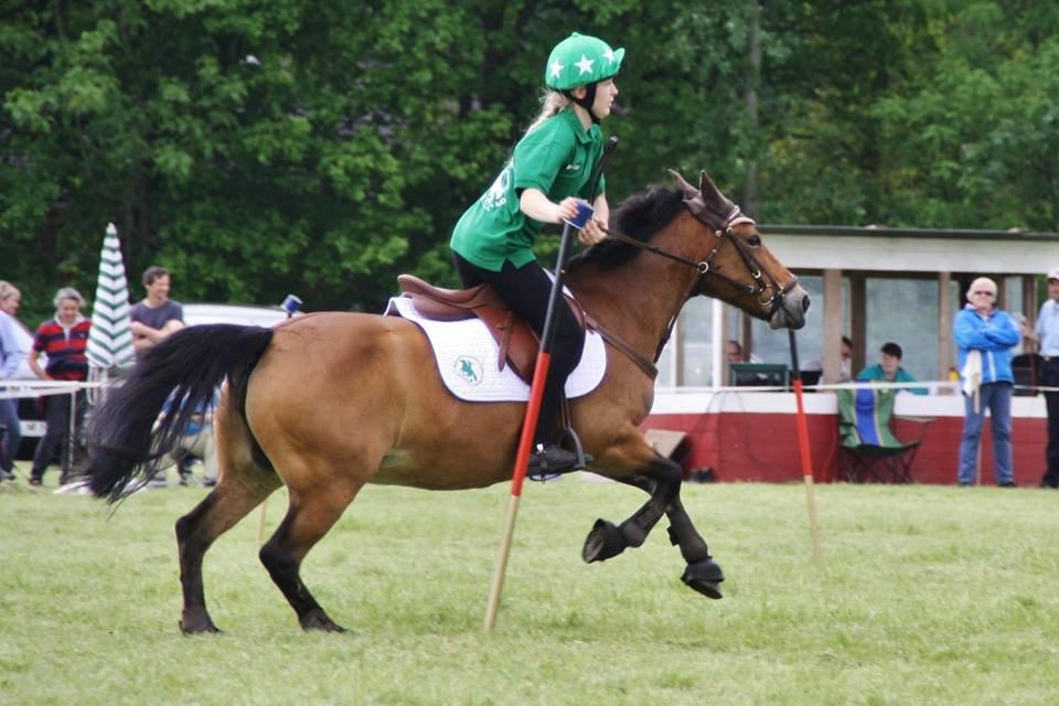 Hollandsk Sportspony Jasmijn billede 37