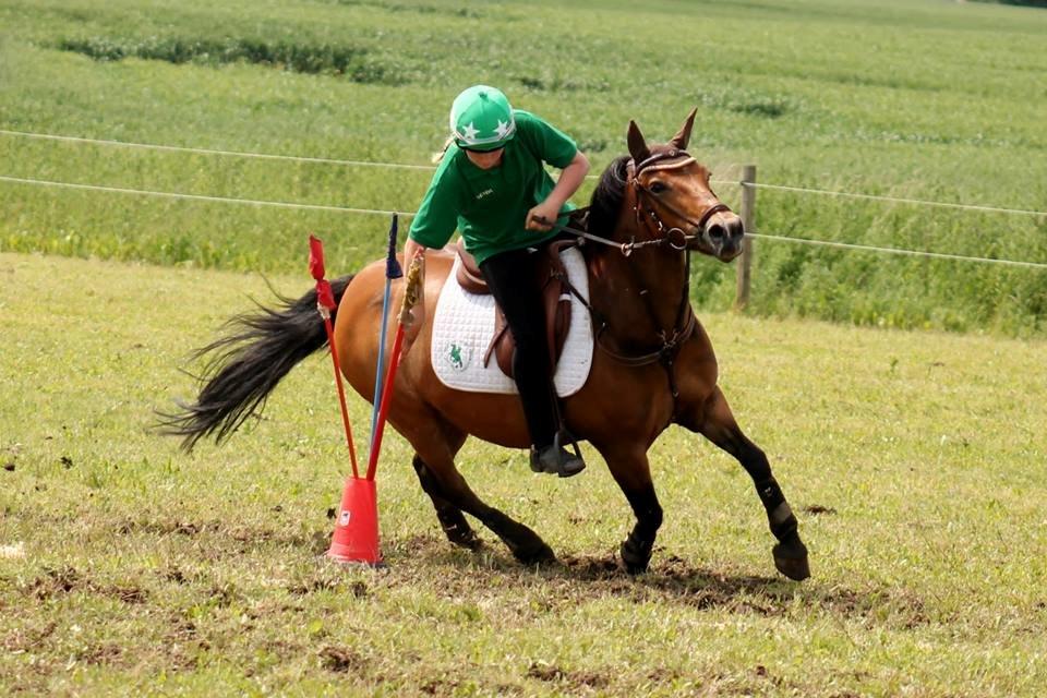 Hollandsk Sportspony Jasmijn billede 16