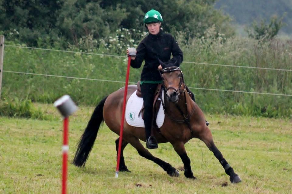 Hollandsk Sportspony Jasmijn billede 29