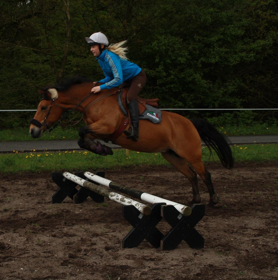 Hollandsk Sportspony Jasmijn billede 24