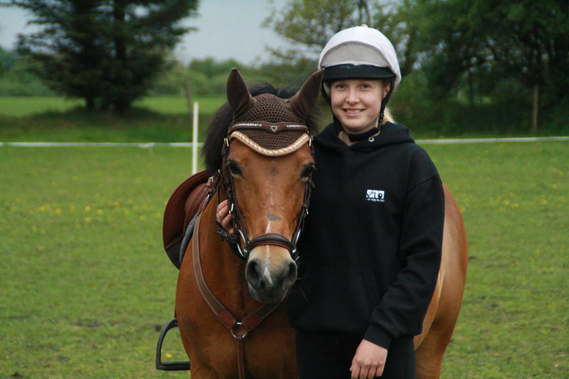 Hollandsk Sportspony Jasmijn billede 5