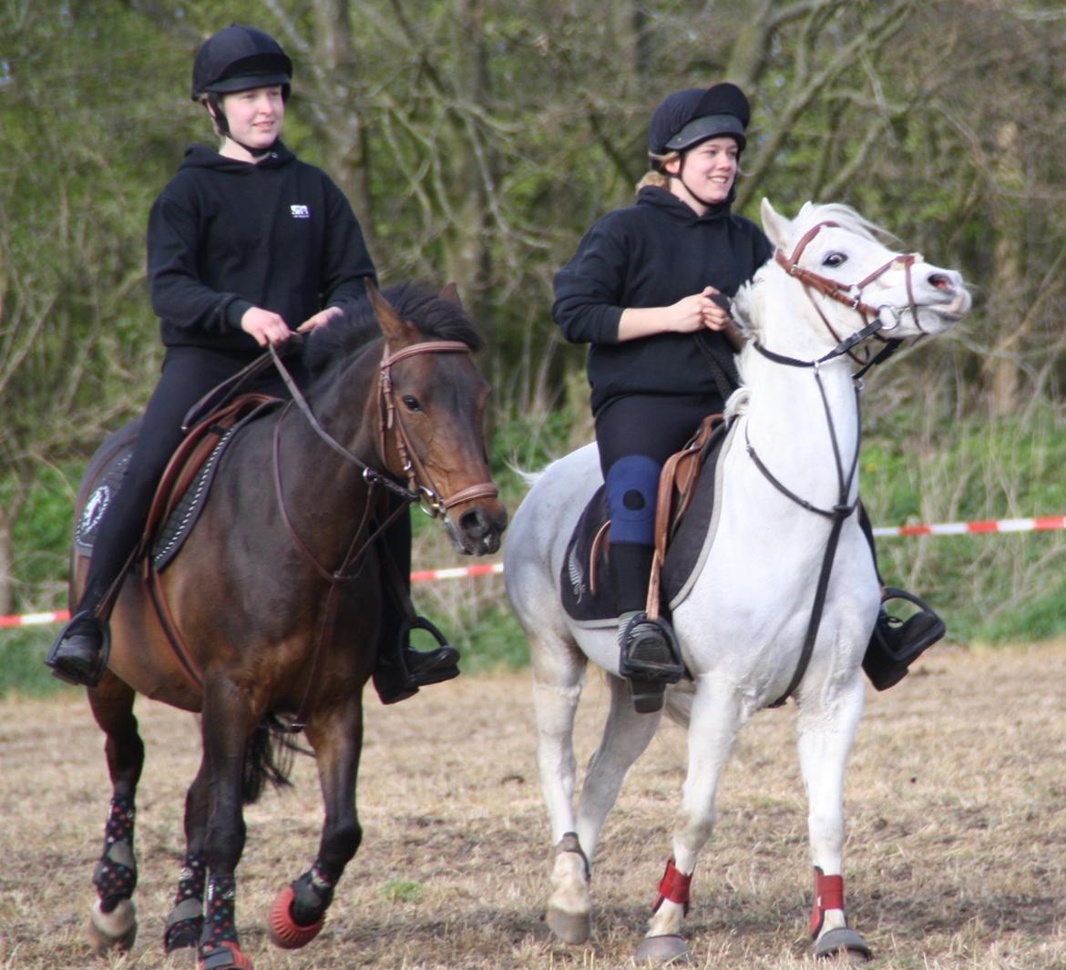 DSP Kvazandra Lapaz billede 28