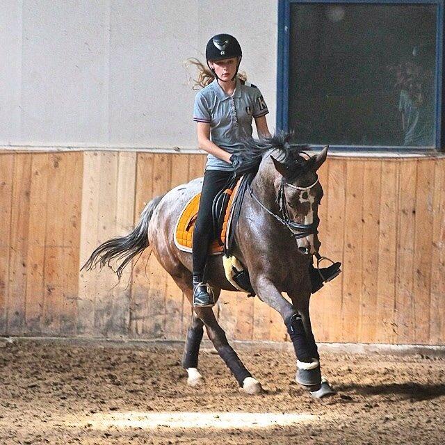 DSP Spotlight's Kira *LÅNE HEST* billede 16