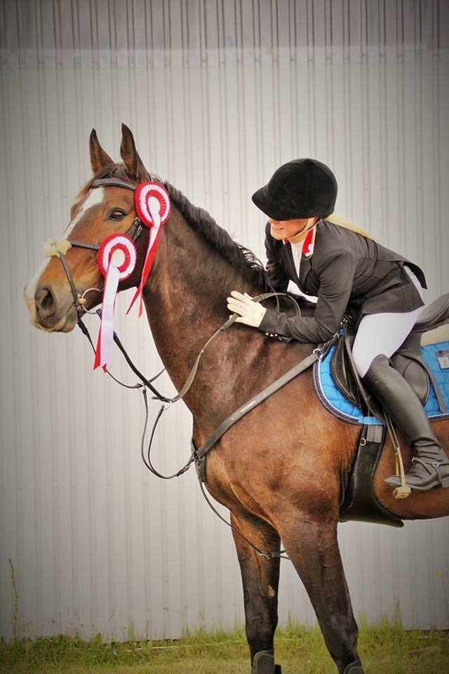 Dansk Varmblod "Kærsholms Landkaster" billede 12