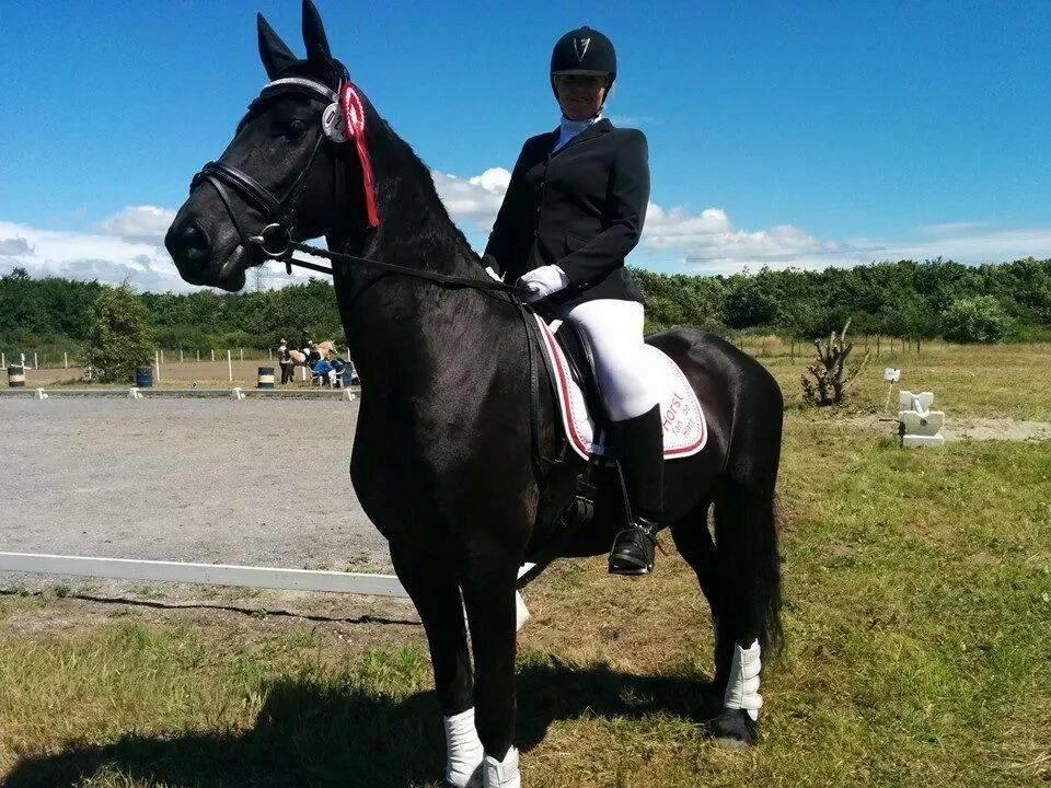 Frieser Horst fan de Harr - Vores første stævne lørdag den 21 juni 2014, hvor vi red en LD1 til 68% og blev nr 2, og en LD2 til 68,611% som vi vandt :-) billede 4