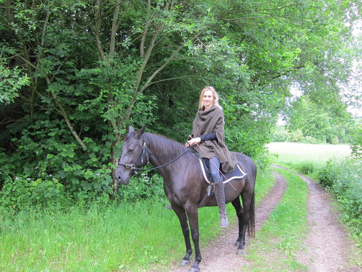 Anden særlig race Ayla (Tidl. hest) billede 1
