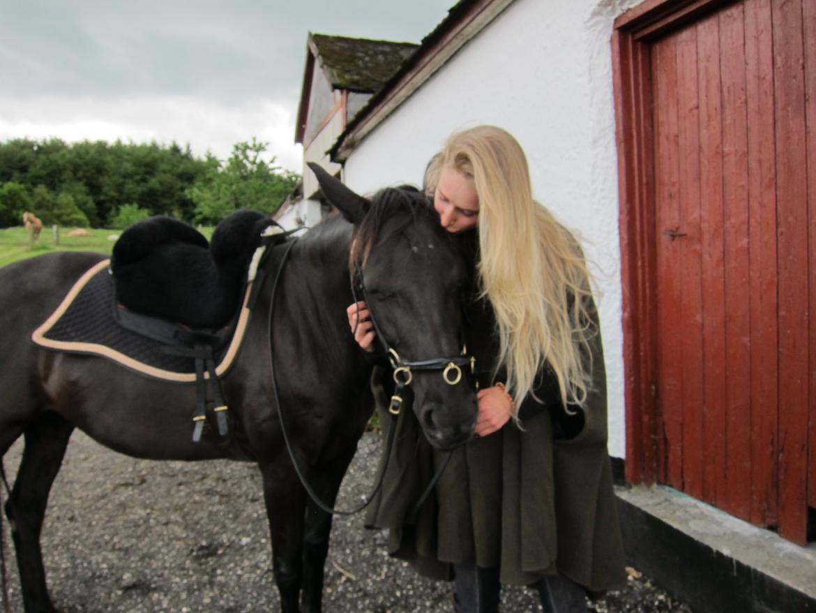 Anden særlig race Ayla (Tidl. hest) billede 2