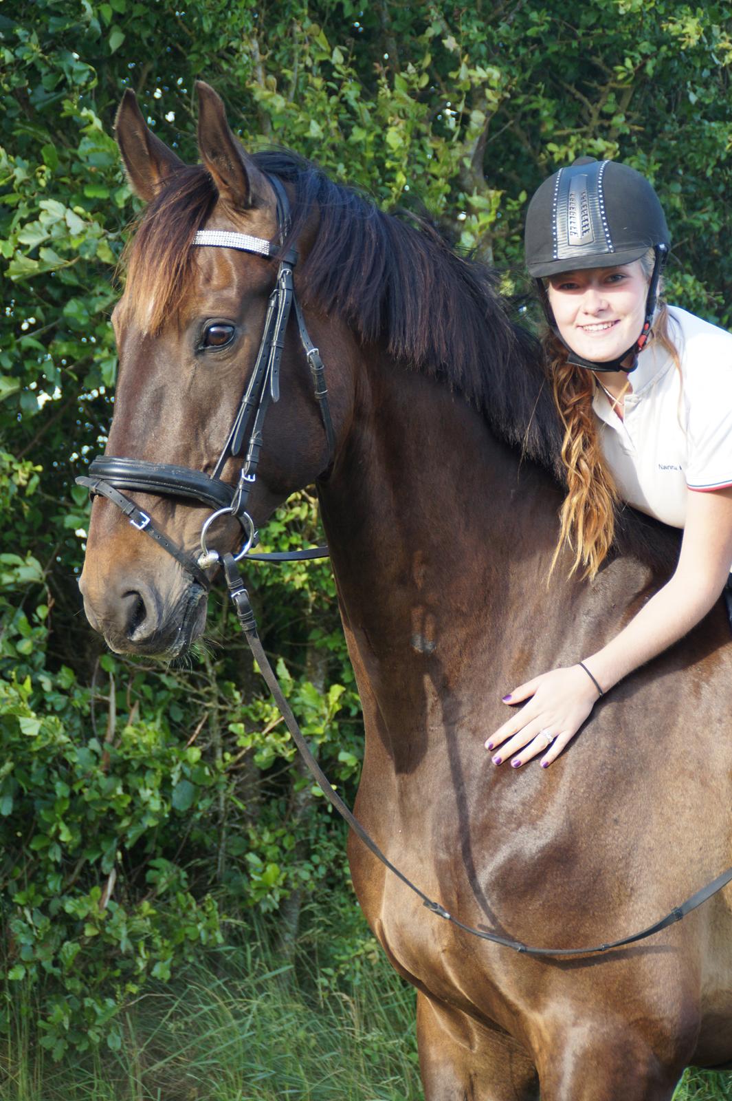 Dansk Varmblod - Laurberggaard's Ludwig - Sidste ridetur sammen.... :( - D.21/06-2014 billede 1