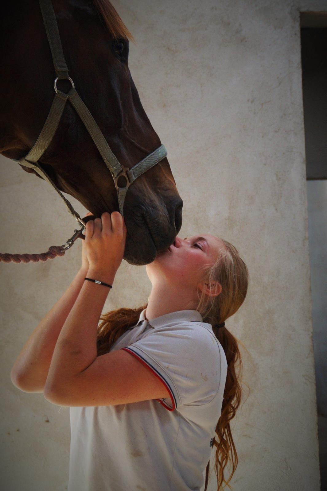 Dansk Varmblod - Laurberggaard's Ludwig - The last kiss, will always be the best <3 - Sidste dag sammen - 21/06-2014 billede 39