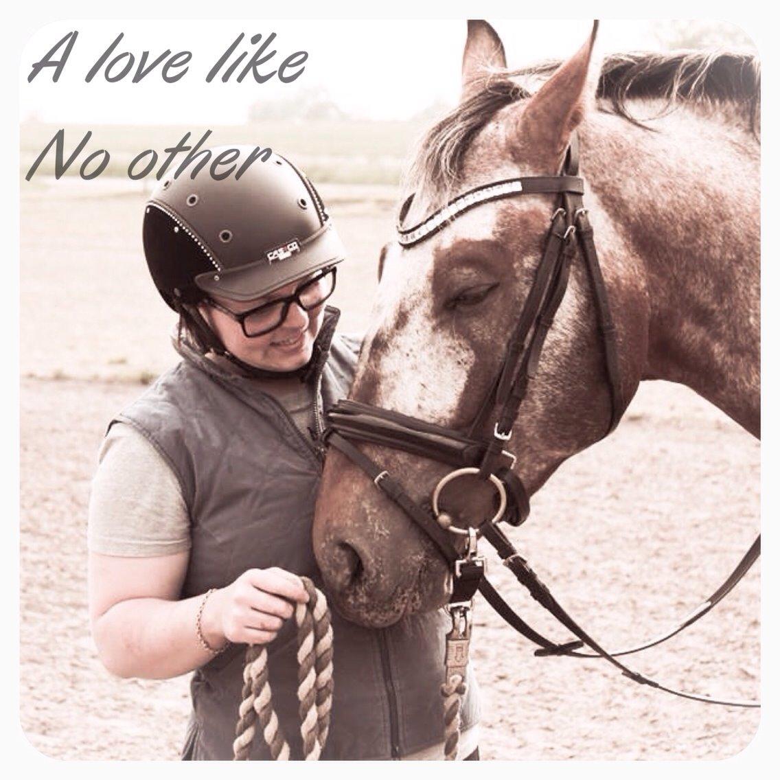 Anden særlig race Titon - Kong Triton SOLGT billede 21