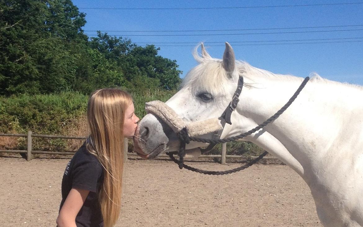 Anden særlig race Turgon - EEEEELSKER HAM!<3  billede 28