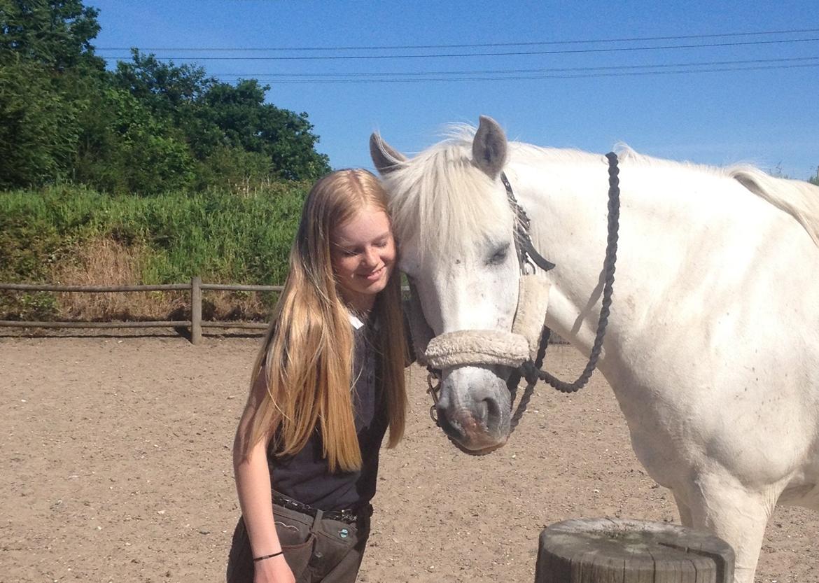 Anden særlig race Turgon - Dejligt med et kram fra verdens bedste pony-fyr!<3 billede 16