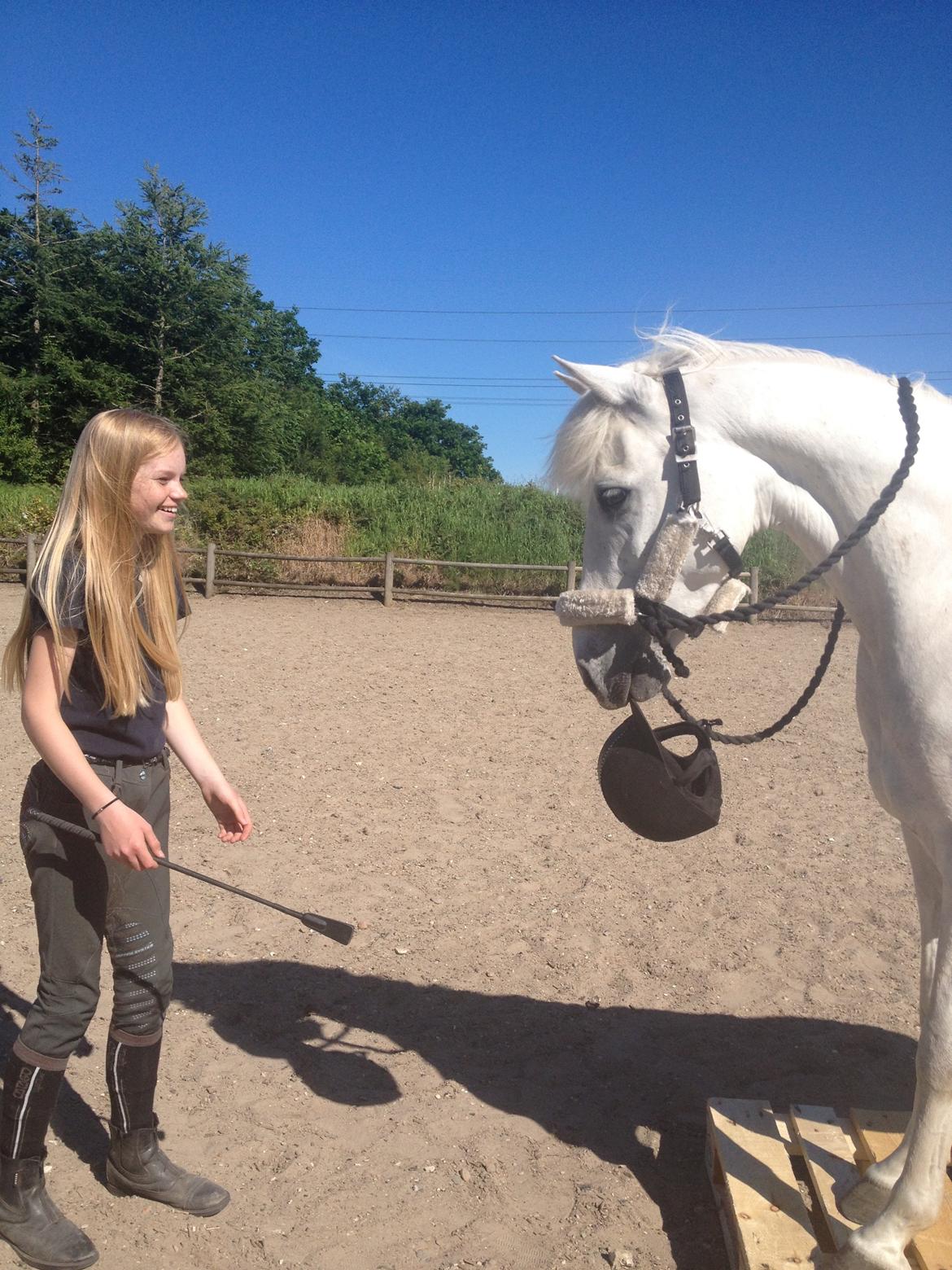 Anden særlig race Turgon billede 43