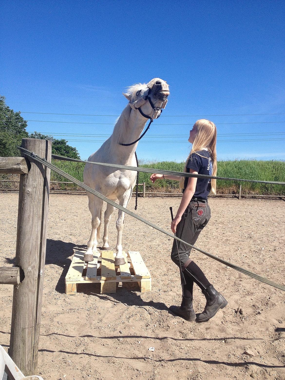 Anden særlig race Turgon - Min dejlige grimling!<3 billede 34