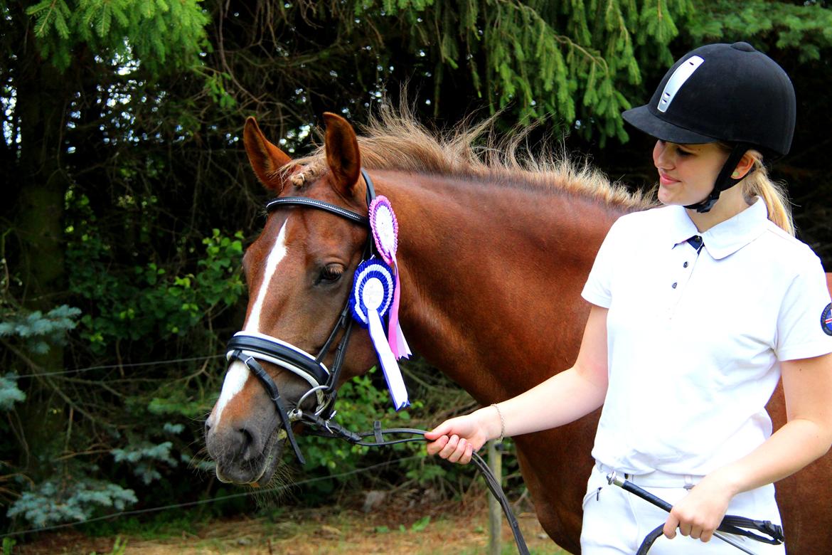 Anden særlig race Sasha - Dygtig pony! <3 billede 16