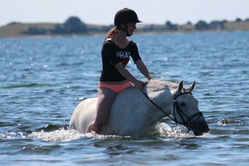 Connemara Haahr's Sundae - Stranden med prinsessen 2014.  billede 18