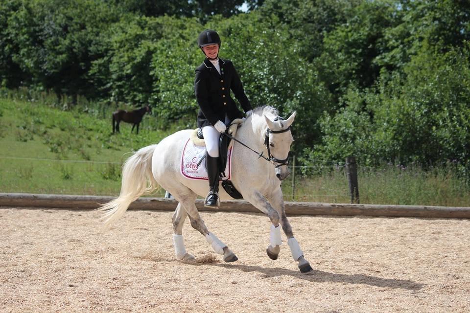 Connemara Haahr's Sundae - Stævne på SMIR 21.6.14 billede 20