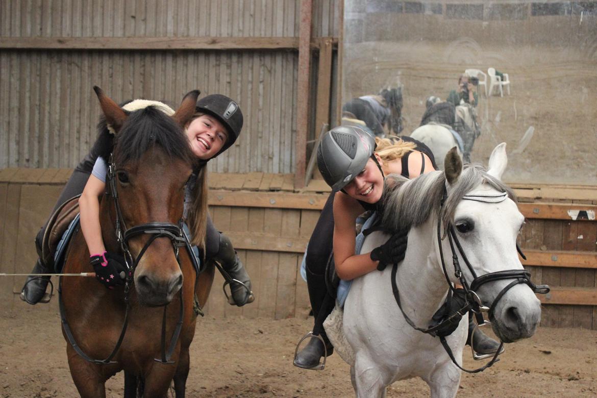 Anden særlig race Charley billede 8