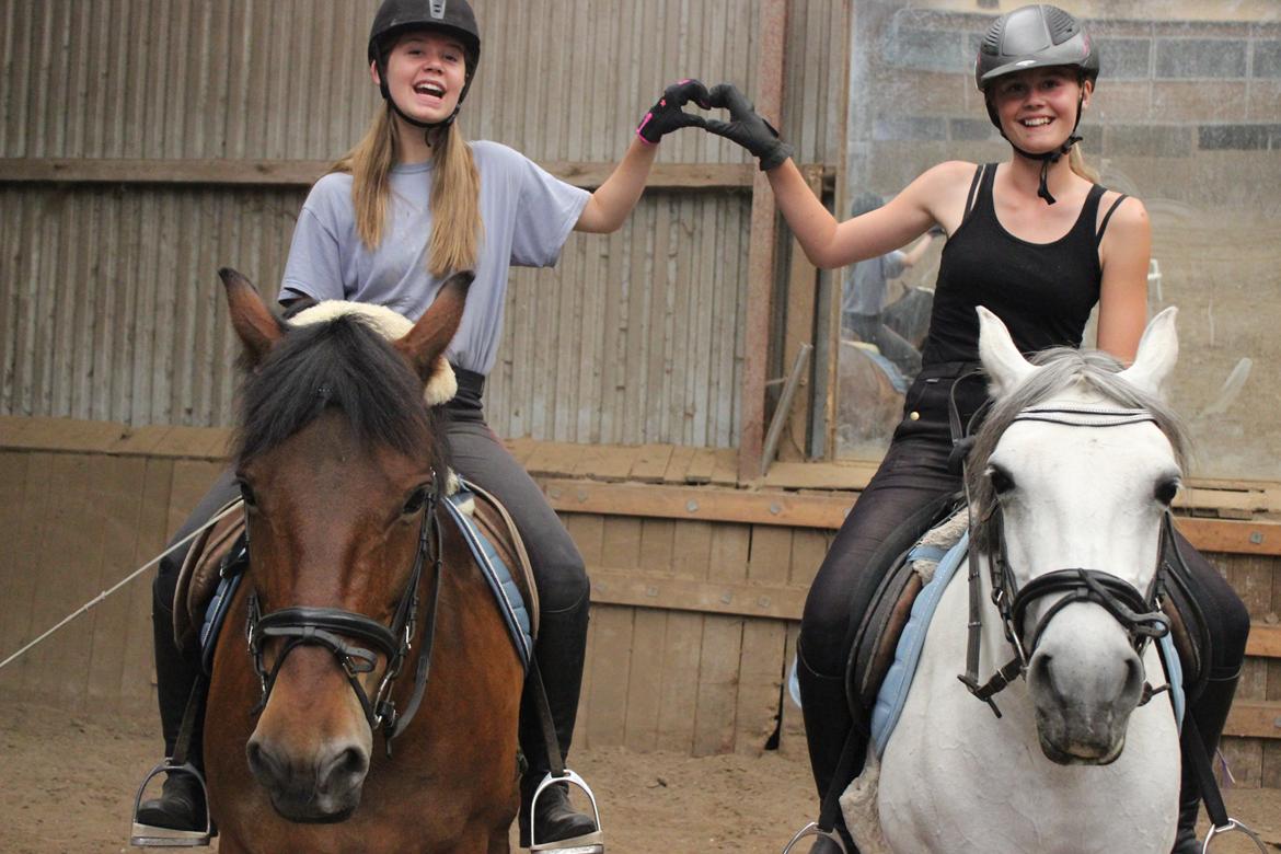 Anden særlig race Charley billede 10