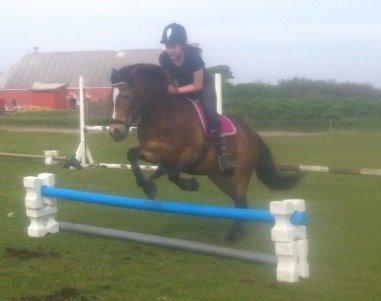 Anden særlig race Bonnie <3 billede 12