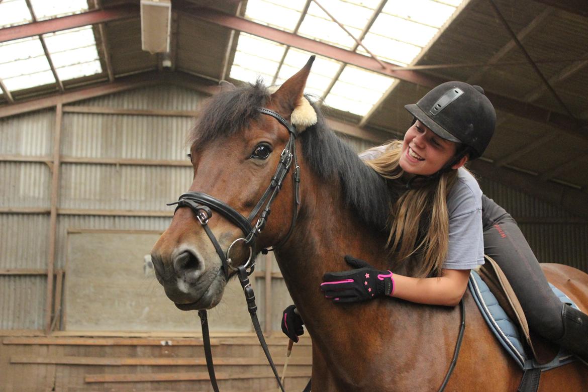 Anden særlig race Charley billede 16