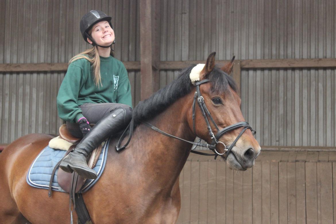 Anden særlig race Charley billede 18