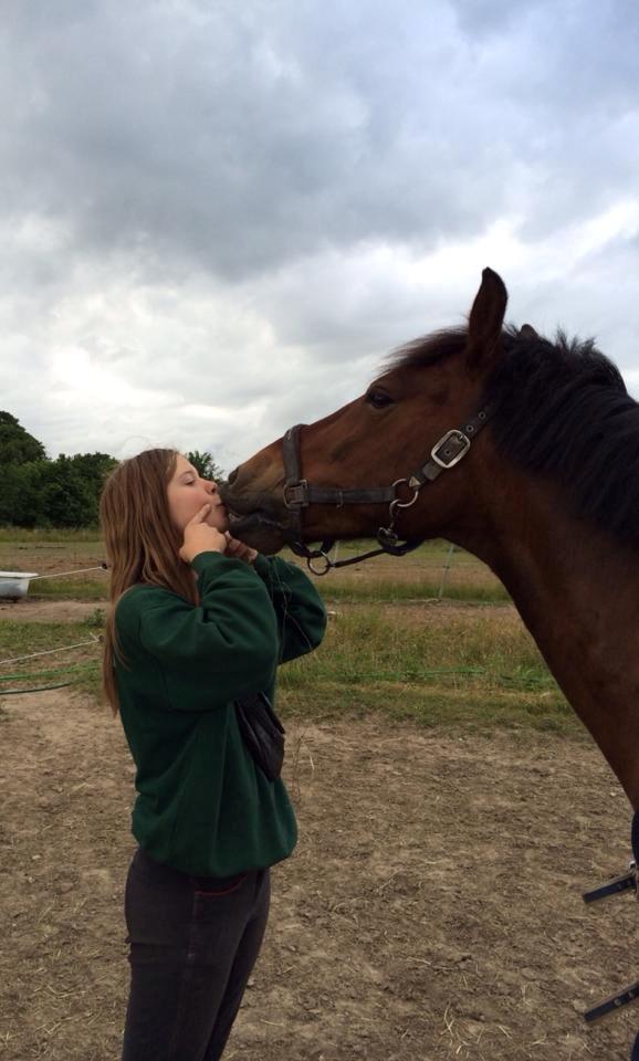 Anden særlig race Charley billede 19
