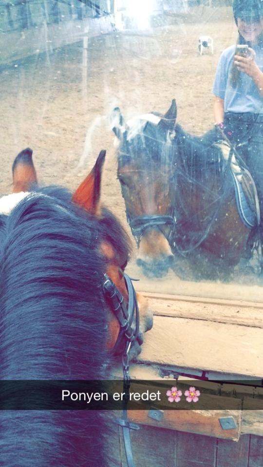 Anden særlig race Charley billede 20