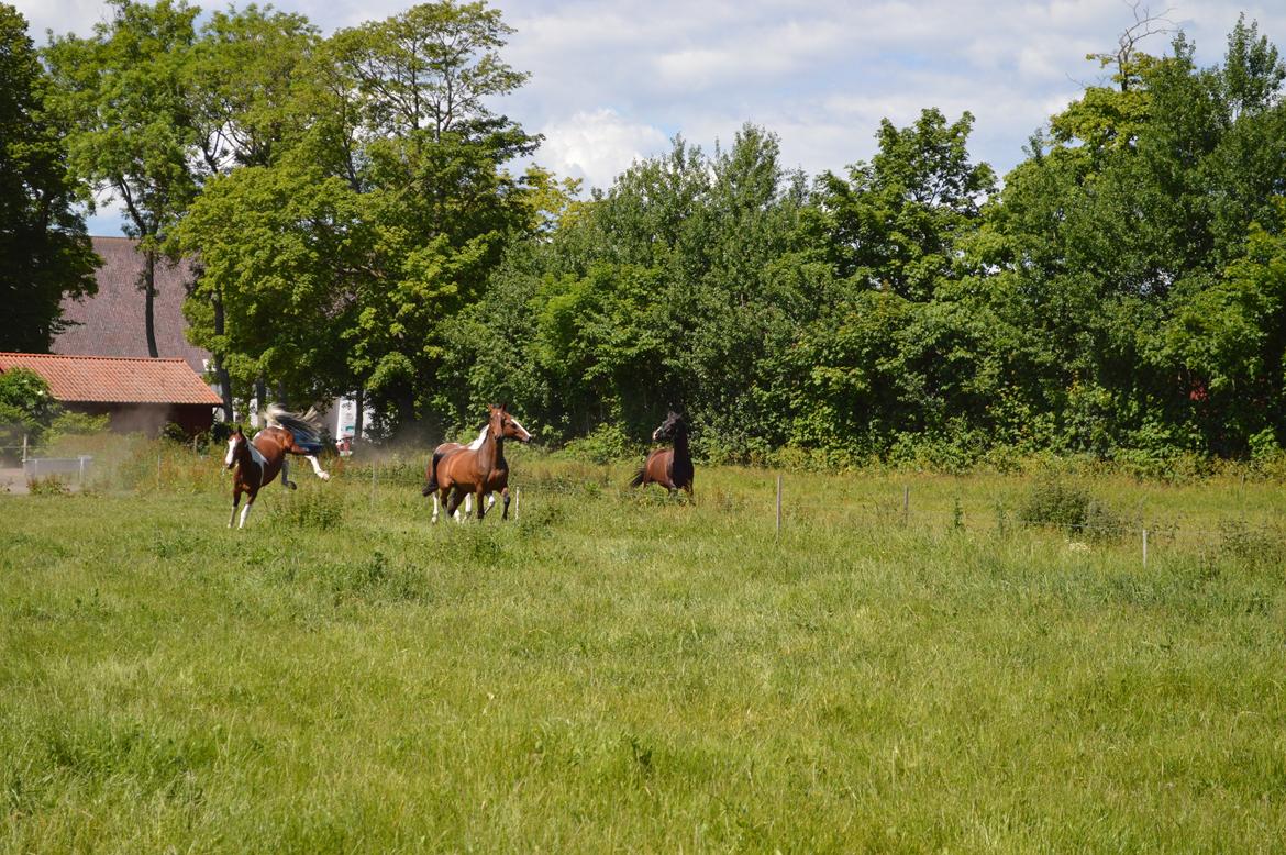 Gelderland Santander billede 14