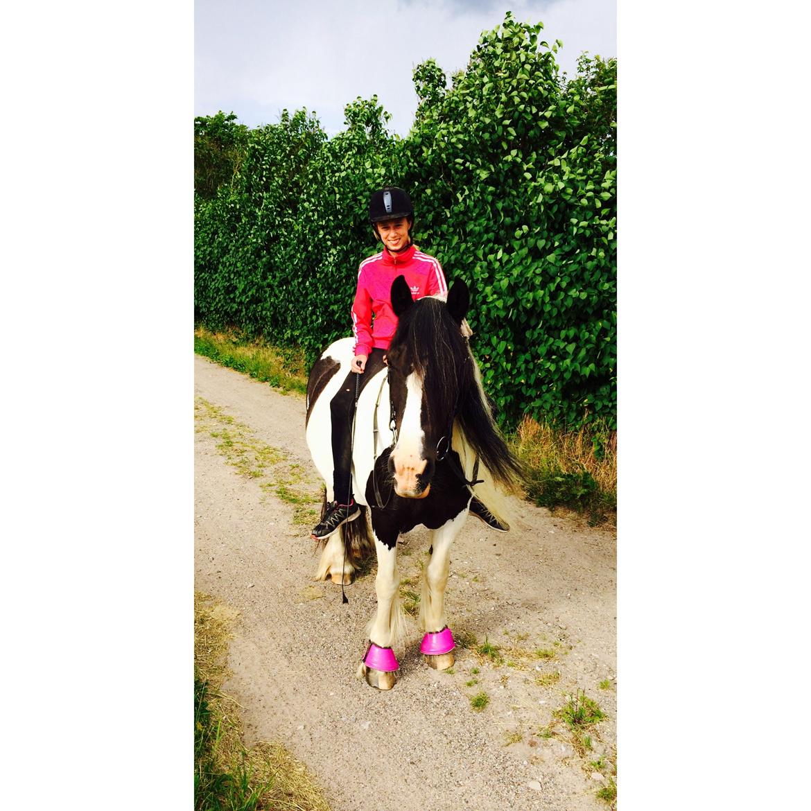 Irish Cob Holms Emmely - på tur.  :) billede 11