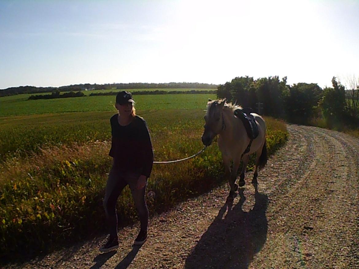 Anden særlig race Ronja Mussen billede 17