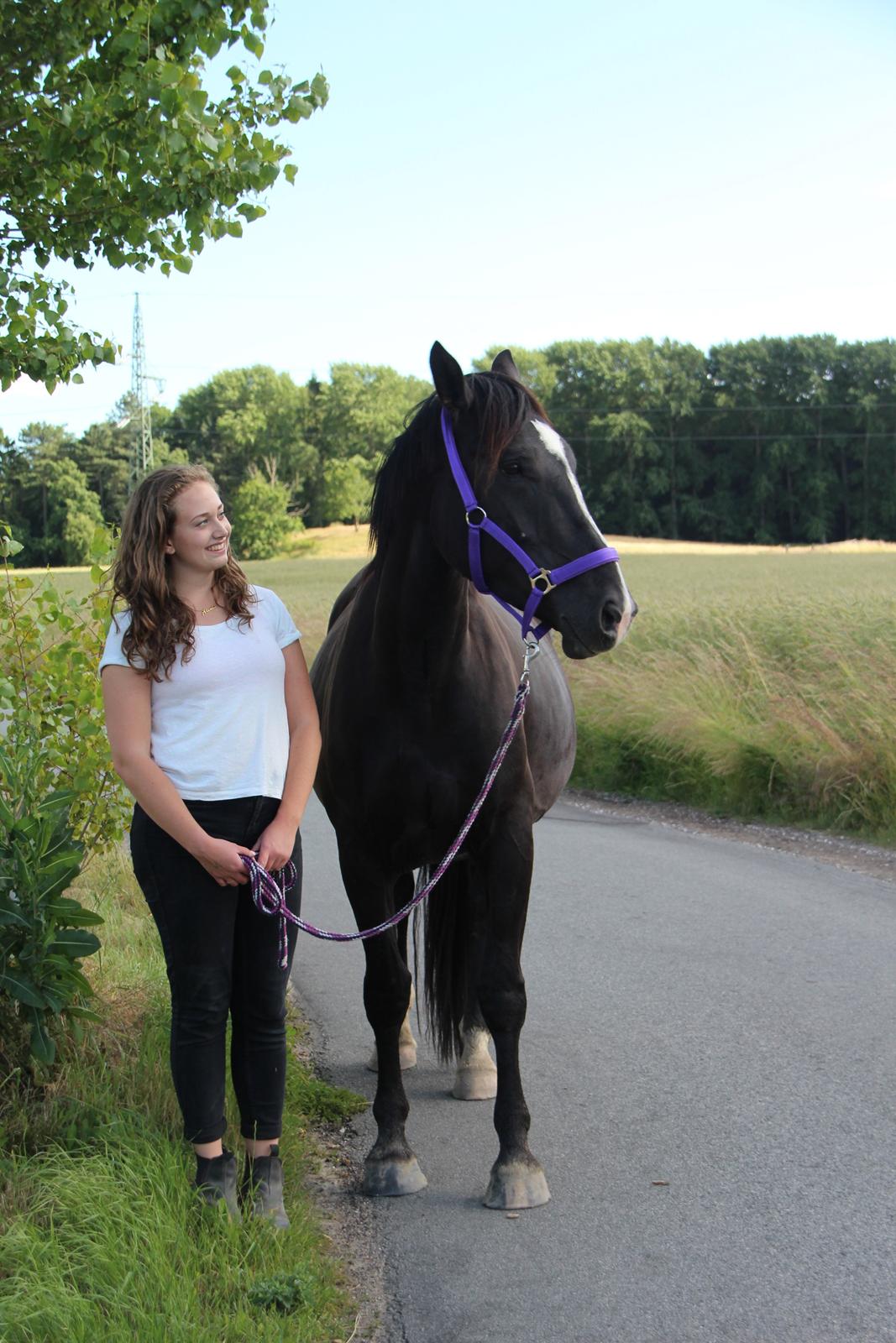 Oldenborg Beyonce M.A.T.C.H billede 11