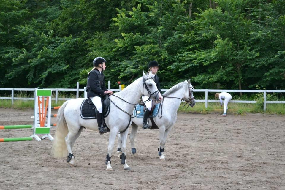 Welsh Pony (sec B) BJERREGÅRDS SANTOS RIP † - Abu og Santos til præmieoverrækkelse på hørs. :'D billede 23