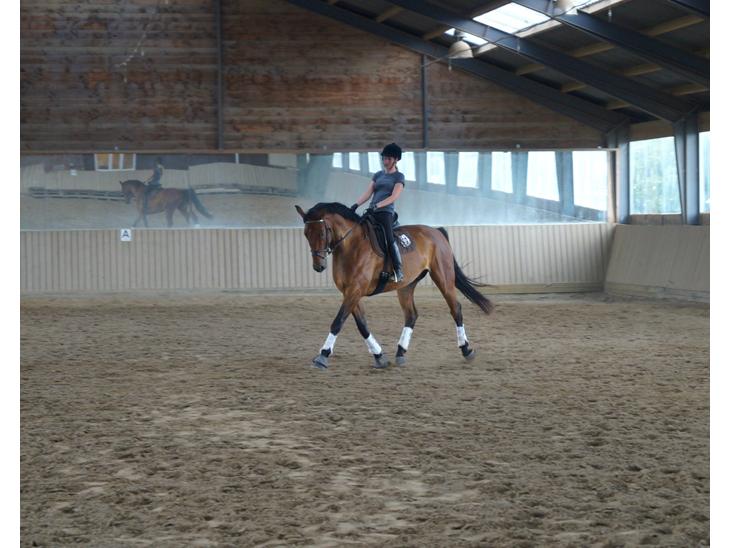 {{currentPhoto.altText}} billede {{currentPhoto.number}}