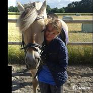 Fjordhest Rose "tidligere part"