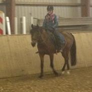 Anden særlig race Dee Dee Birkholm