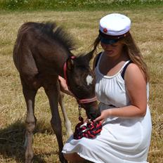 New Forest Fuglsangs Sweet Cookie