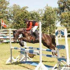 Anden særlig race Ibrahim