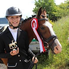 DSP Lassen`s Pay Per View