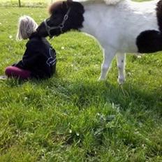 Anden særlig race Victoria