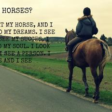 Knabstrupper Friis' Signe