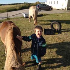 Anden særlig race Freja