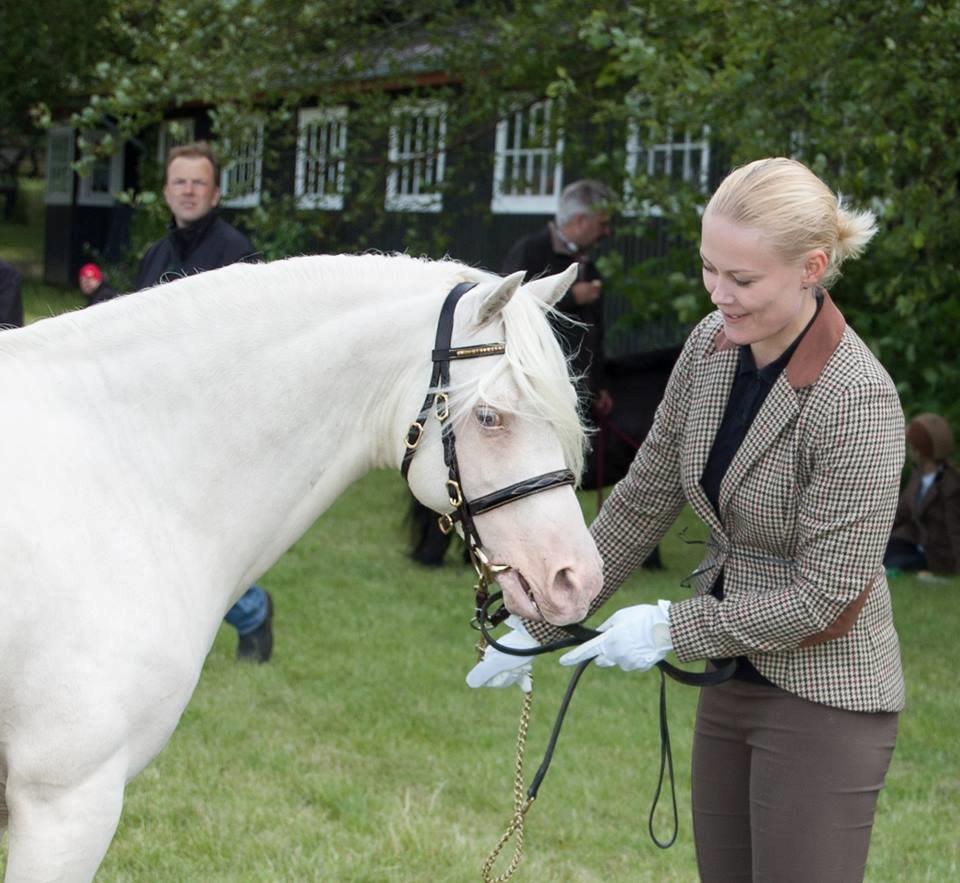 Welsh Pony (sec B) Aastrupgaards Safir, Hingst - D21/6 2014 Søde Cathrine med Safir til Show på Dorthealyst  billede 18