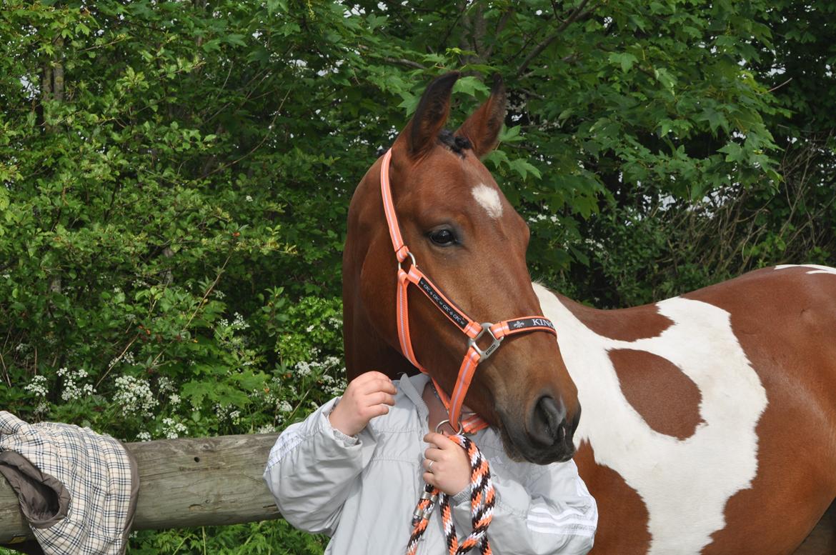 Anden særlig race Sputnik billede 3