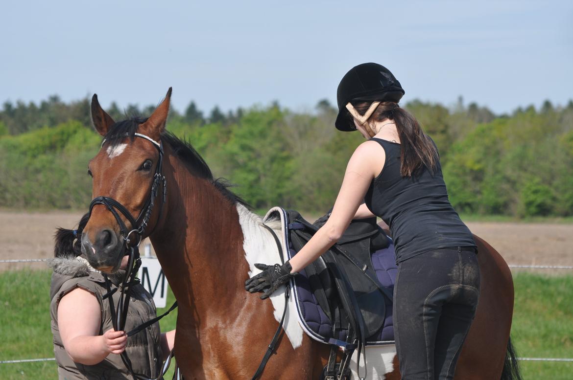Anden særlig race Sputnik billede 4