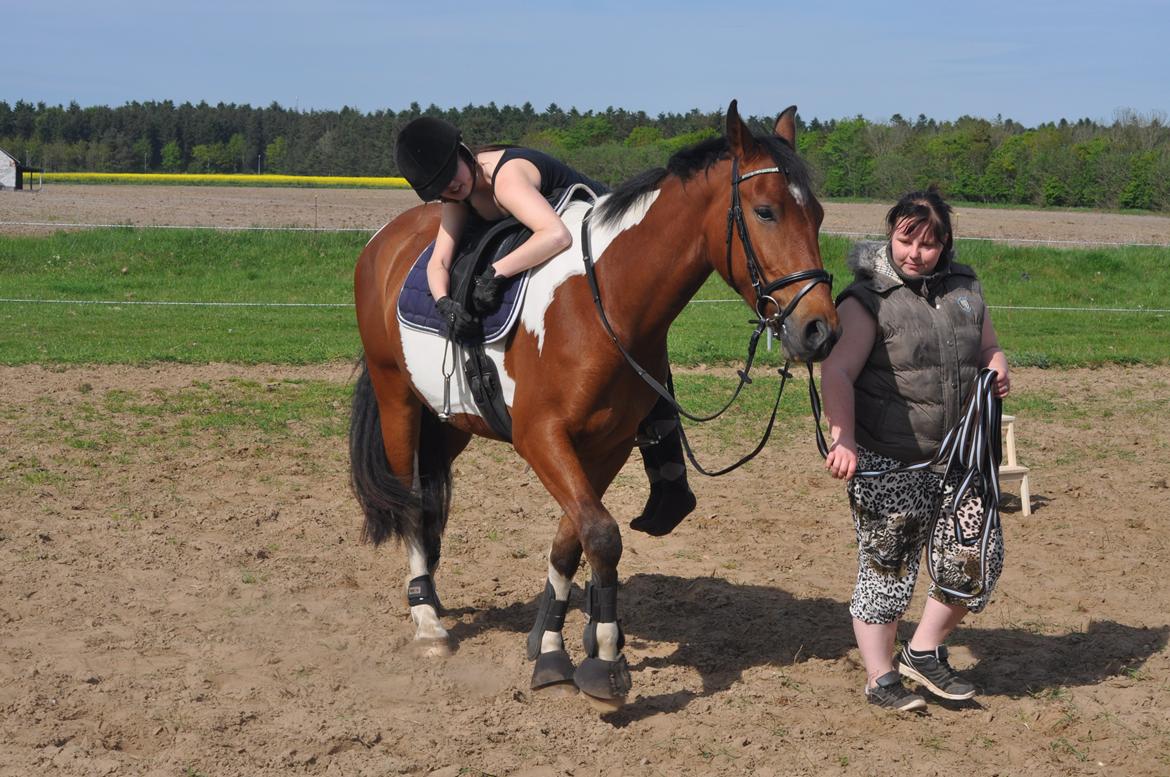 Anden særlig race Sputnik billede 5