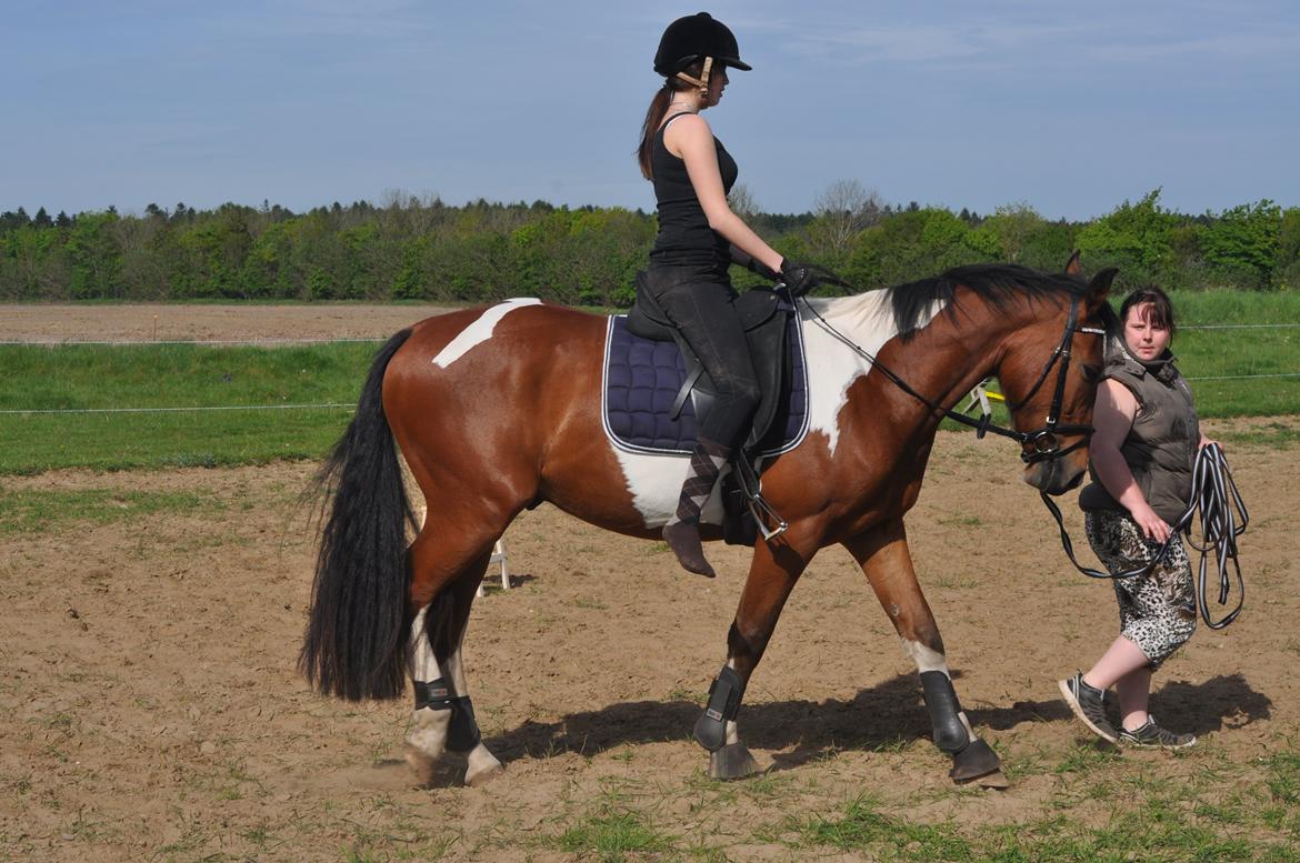 Anden særlig race Sputnik billede 6