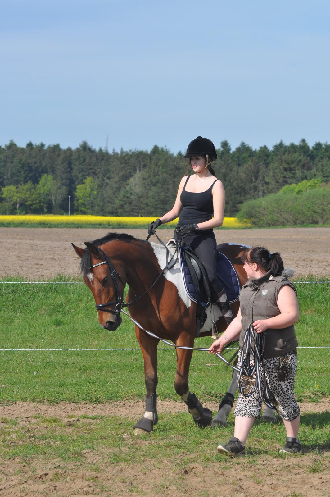 Anden særlig race Sputnik billede 8